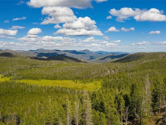 Land for sale in Butte