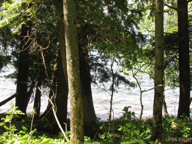 Land for sale in Michigan