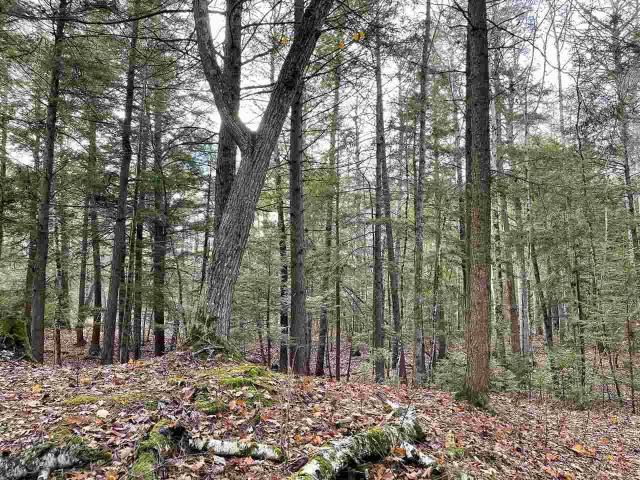 Land for sale in Michigan