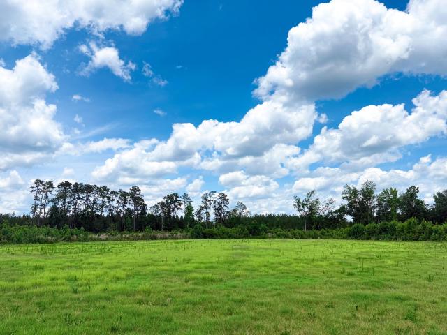 Land for sale in Gresham, Marion County