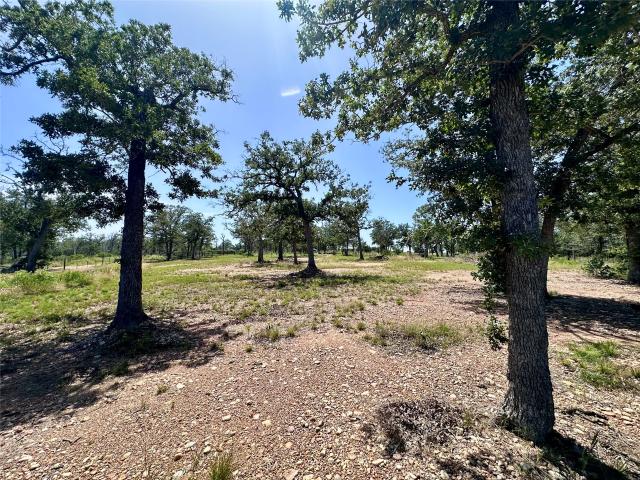 Land for sale in Paige, Texas