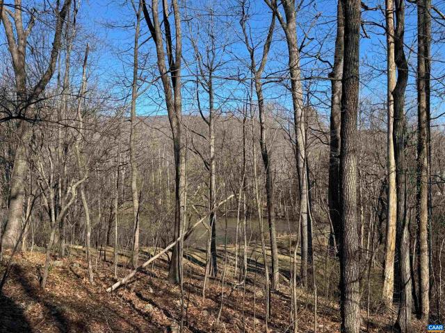 Land for sale in Virginia