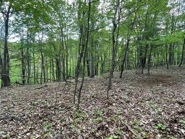 Land for sale in Jefferson, North Carolina