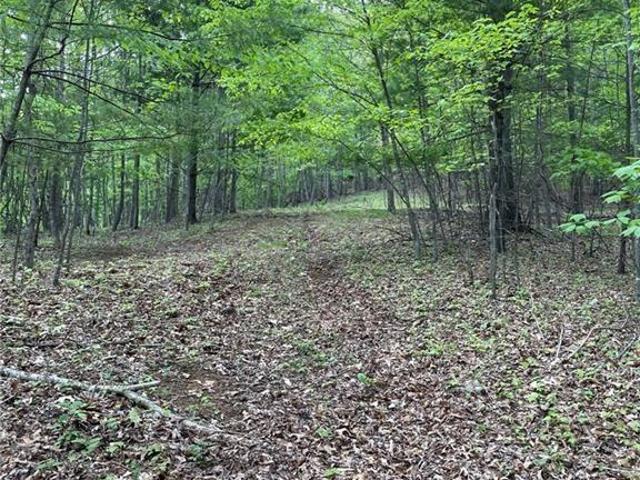 Land for sale in Jefferson, North Carolina