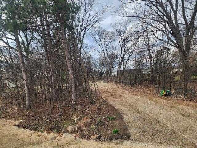 Land for sale in Ramsey, Minnesota