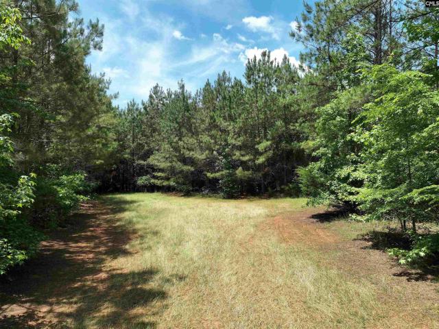 Land for sale in Jonesville, South Carolina