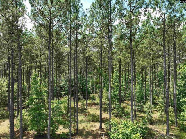 Land for sale in Jonesville, Union County