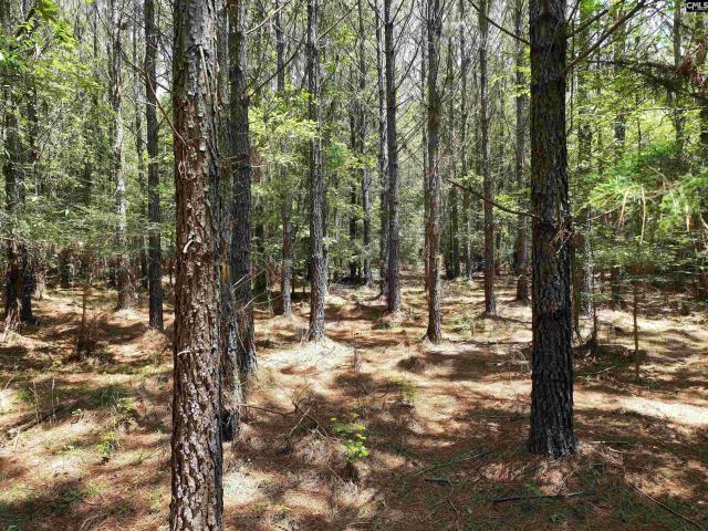 Land for sale in Jonesville, South Carolina