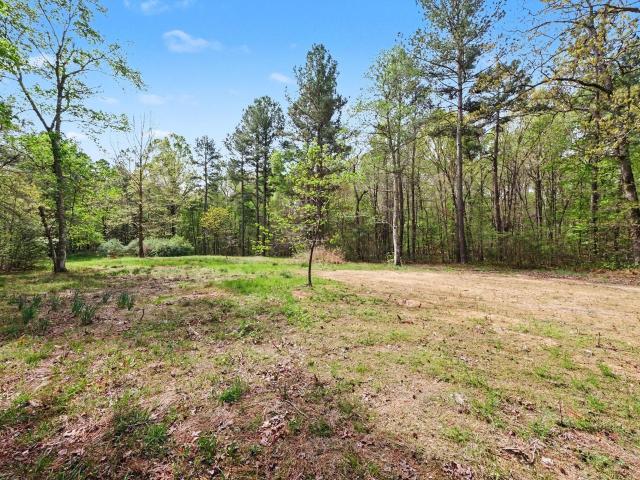 Land for sale in Efland, North Carolina