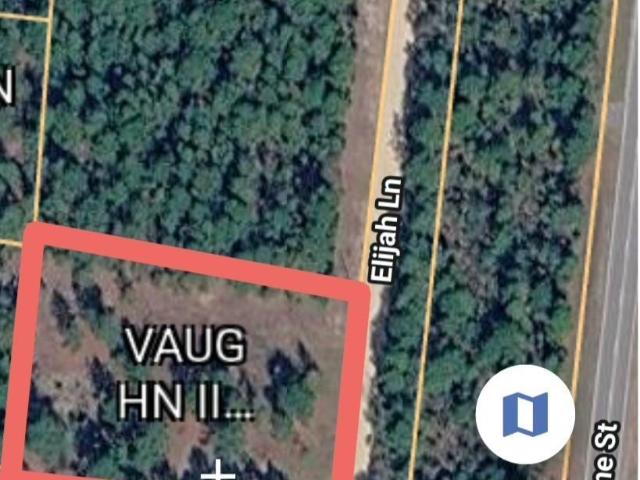 Land for sale in Pelion, Lexington County