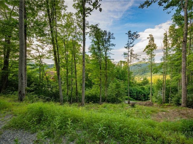 Land for sale in Avery, North Carolina