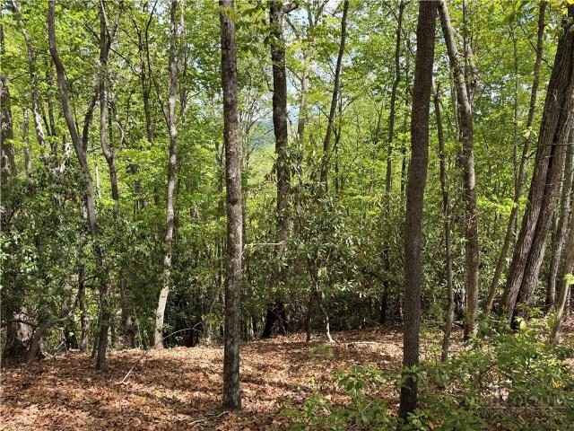 Land for sale in Watauga, North Carolina