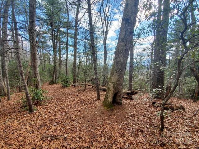 Land for sale in Bakersville, North Carolina