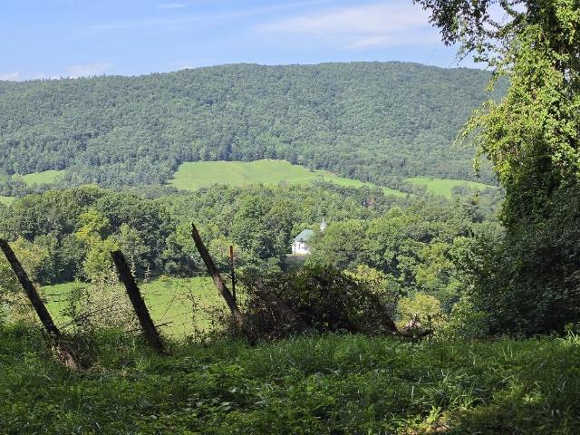 Land for sale in Virginia