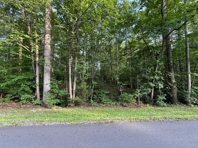 Land for sale in Virginia