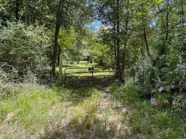 Land for sale in Shepherd, Texas