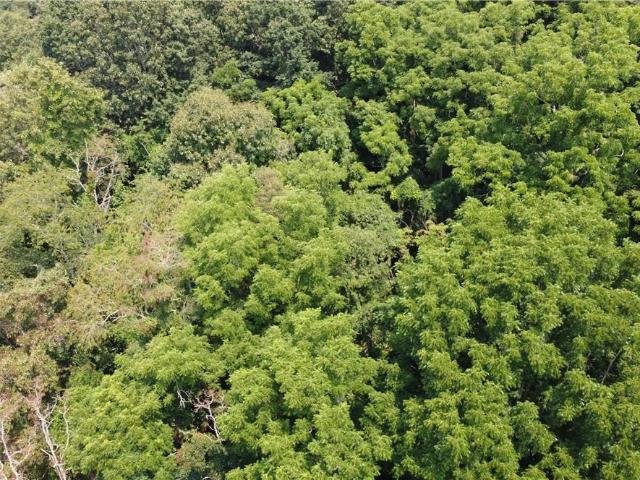 Land for sale in Haywood, North Carolina