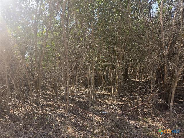 Land for sale in Belton, Texas