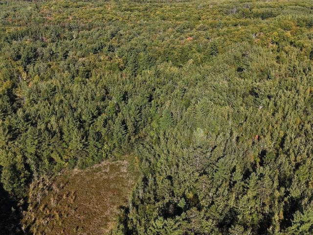 Land for sale in Bruno Township, Pine County