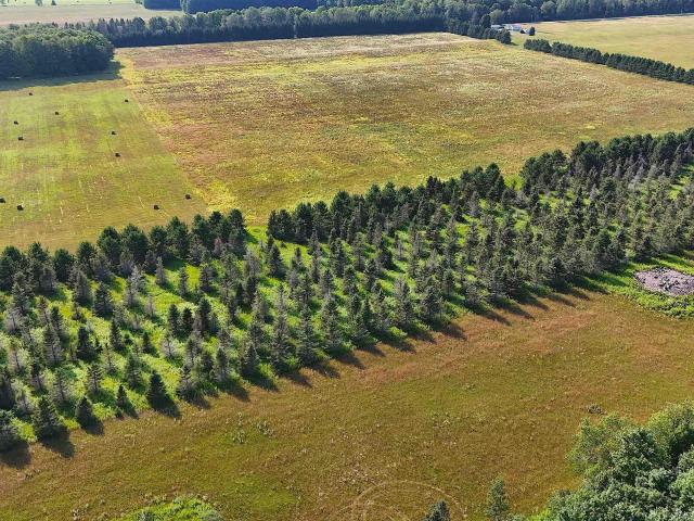 Land for sale in Michigan