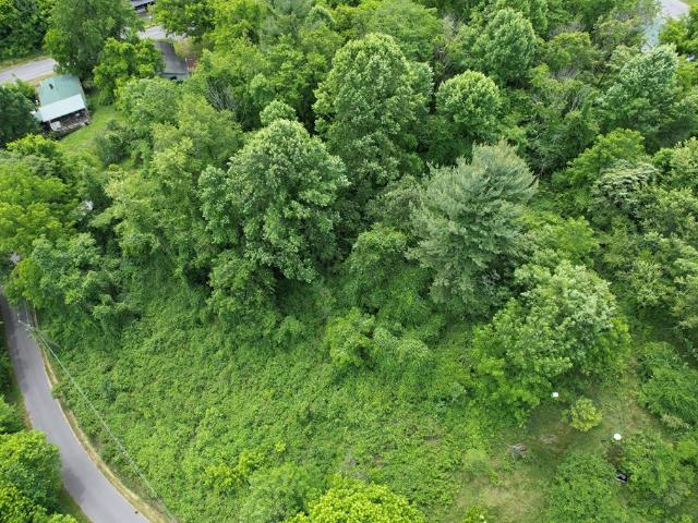Land for sale in Virginia
