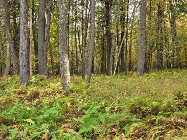 Land for sale in Narrowsburg, Town of Tusten