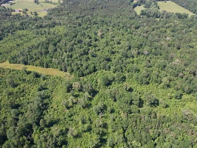 Land for sale in Shelby, Texas