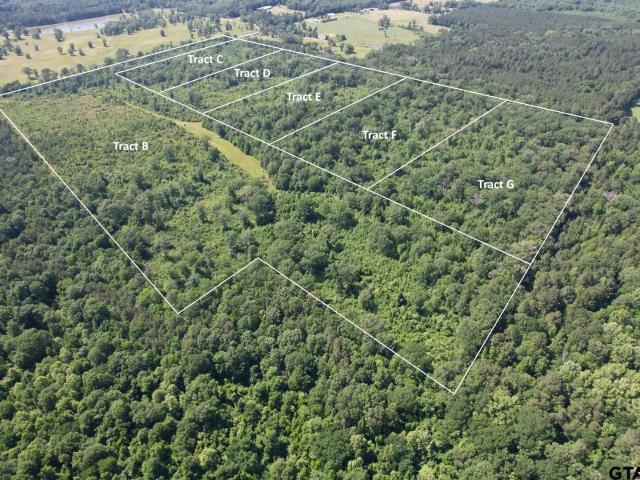 Land for sale in Shelby, Texas
