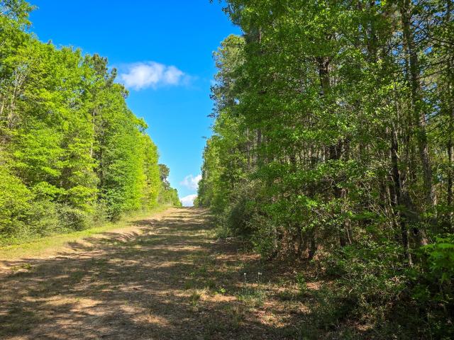 Land for sale in Polk, Texas