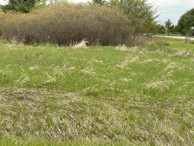 Land for sale in Wagarville, Michigan