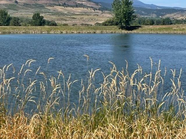 Land for sale in Council, Idaho