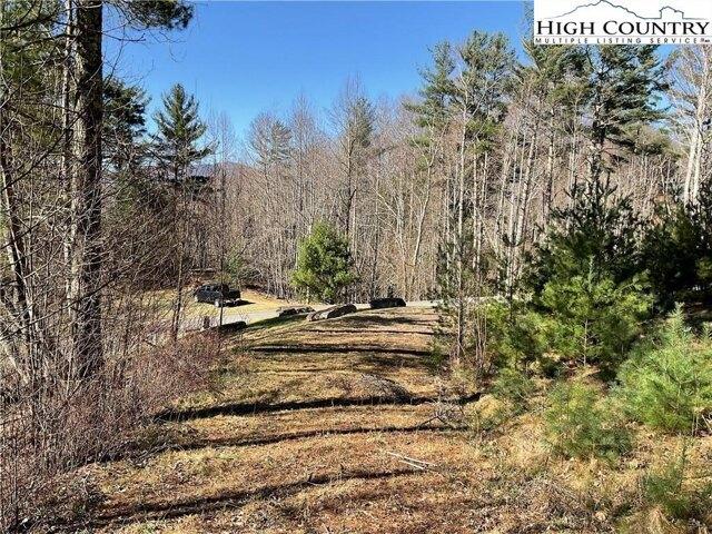 Land for sale in Avery, North Carolina