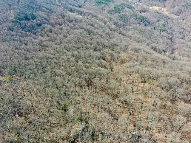 Land for sale in Virginia