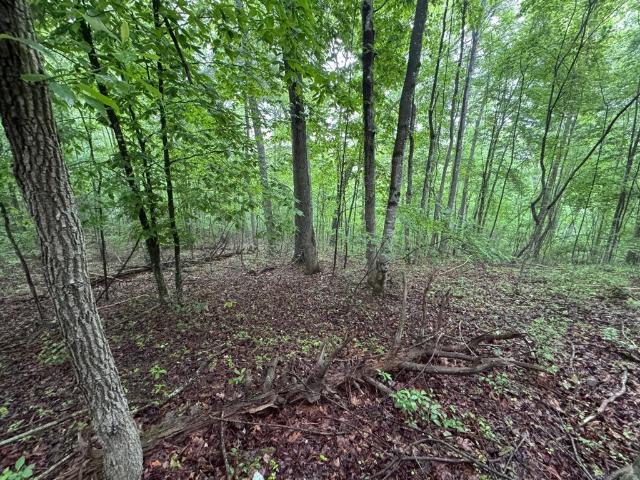Land for sale in Virginia
