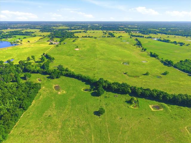 Land for sale in Van, Texas