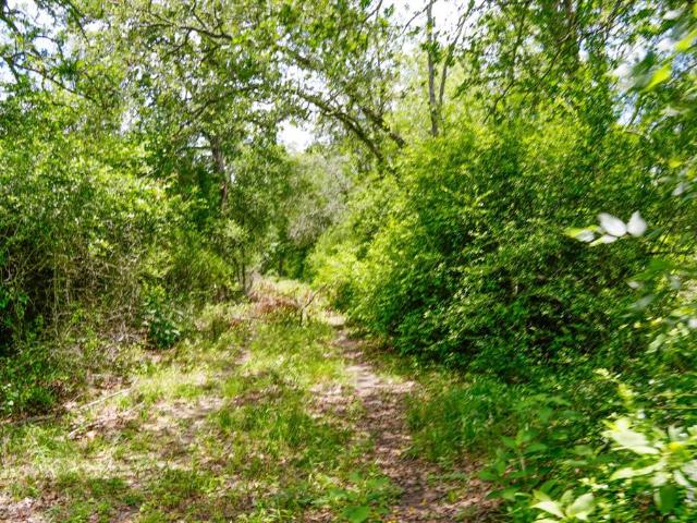 Land for sale in La Grange, Texas