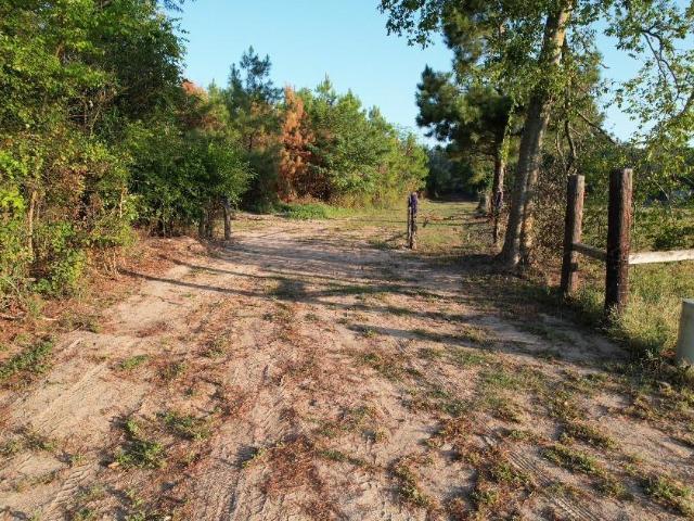 Land for sale in Joaquin, Shelby County