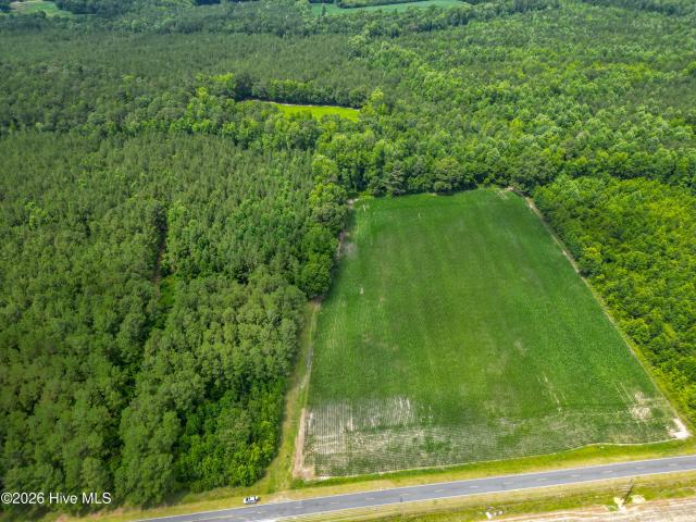Land for sale in Clarkton, North Carolina