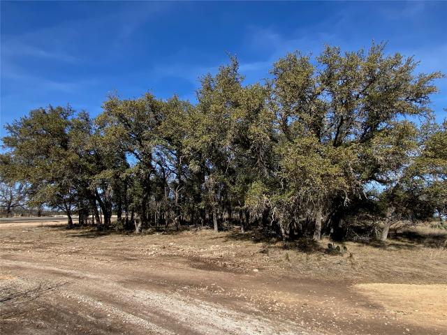 Land for sale in Williamson, Texas