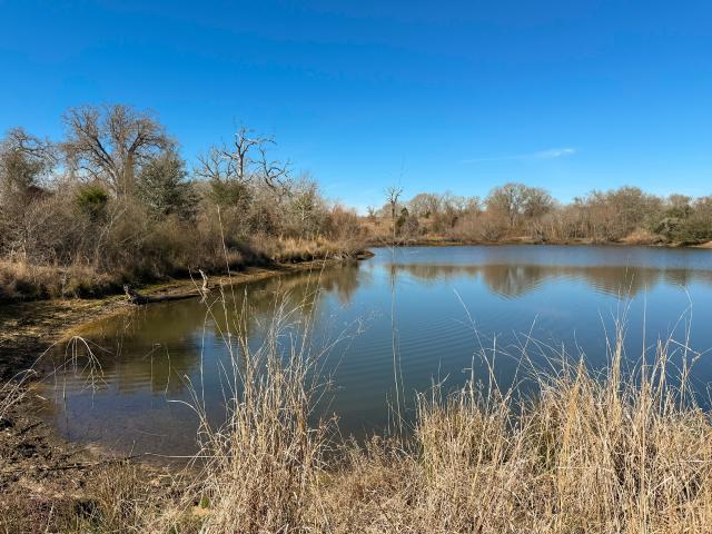 Land for sale in Oakwood, Texas