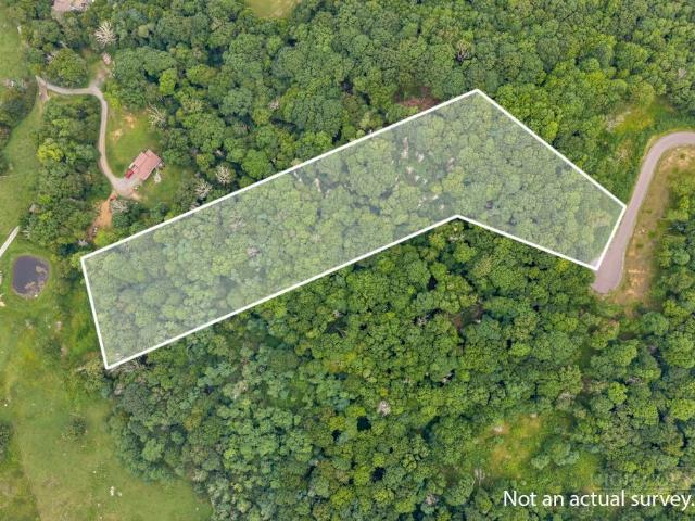 Land for sale in Watauga, North Carolina