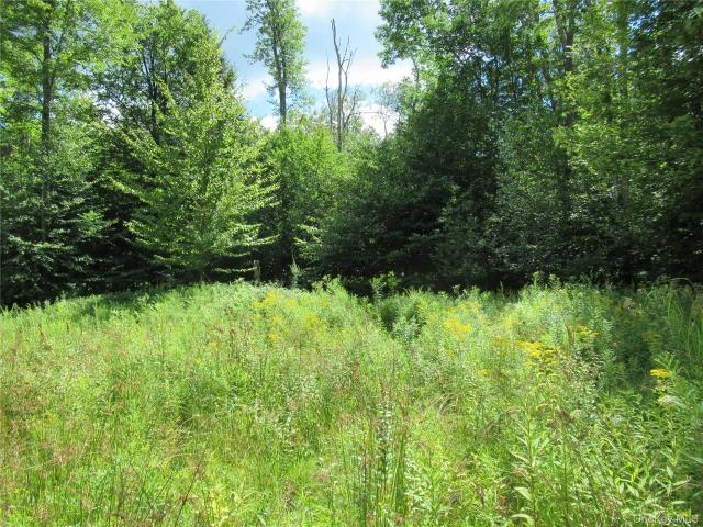 Land for sale in Claryville, New York