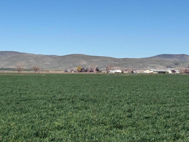 Land for sale in Weiser, Washington County