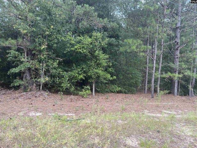 Land for sale in Aiken, South Carolina