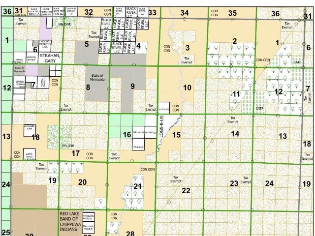 Land for sale in Northome, Minnesota