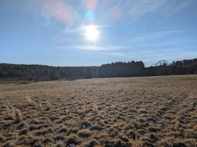 Land for sale in Virginia