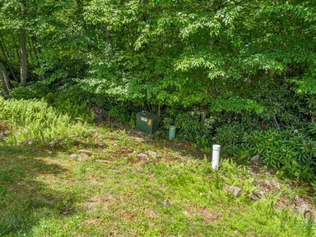 Land for sale in Watauga, North Carolina