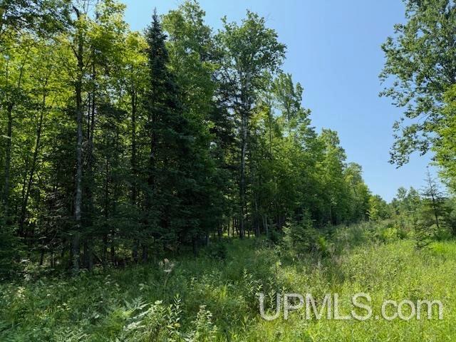 Land for sale in Wisconsin