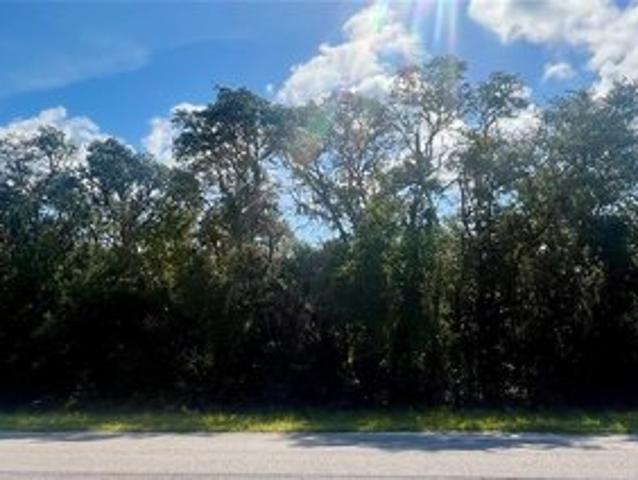 Land for sale in Ocklawaha, Marion County