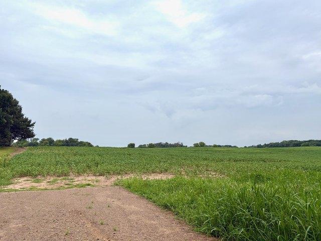 Land for sale in Isanti, Minnesota